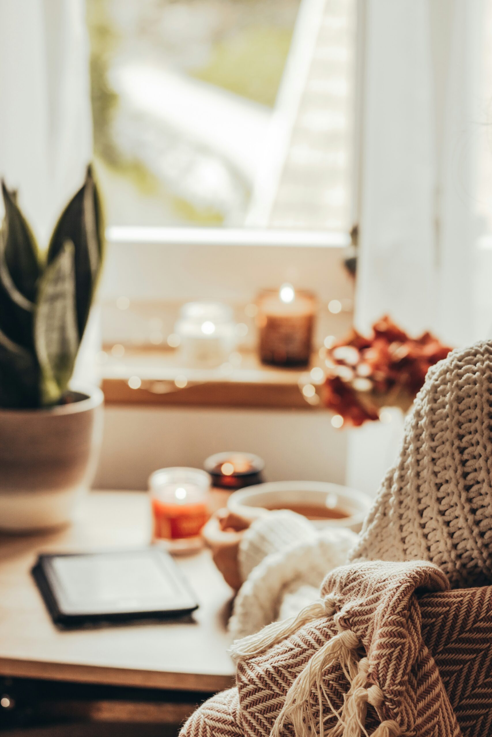 Well lit room with glowing candlelight. Cozy blanket and drink with plant. Clean and cozy feelings.