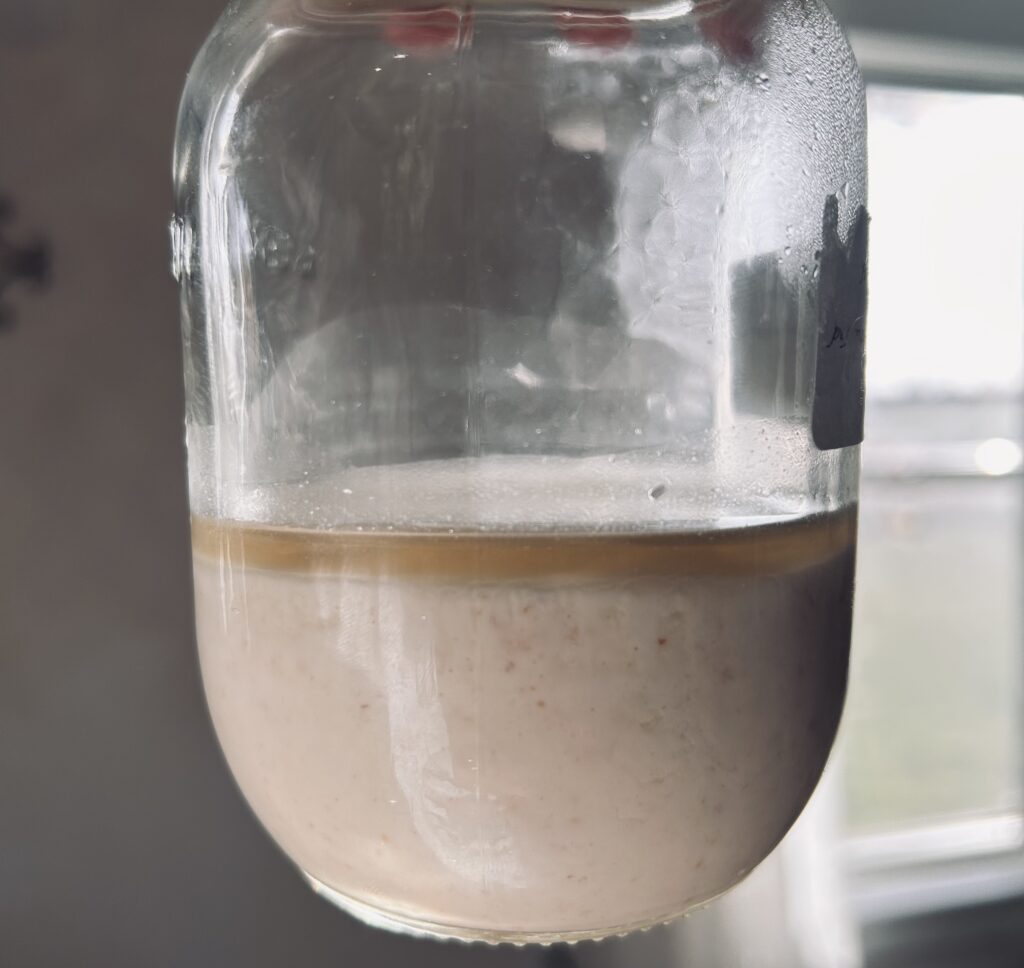Preserves bottle containing sourdough starter from the fridge. Layer of hooch (alcohol by product) layers the top.